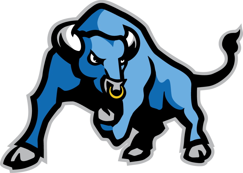 Buffalo Bulls 2007-Pres Alternate Logo t shirts iron on transfers